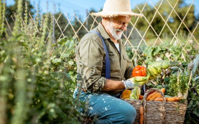 Tu proveedor de verduras frescas
