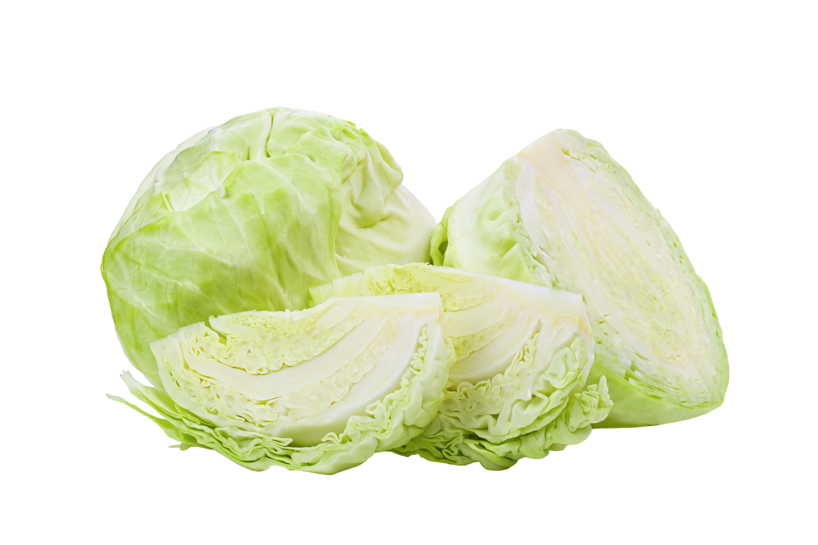 Lechuga Lechuga