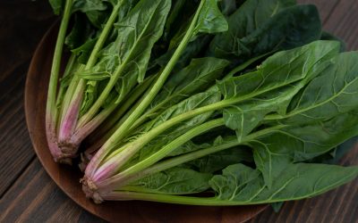 Tu especialista en espinacas para empresas