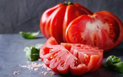 Tomate de calidad para profesionales